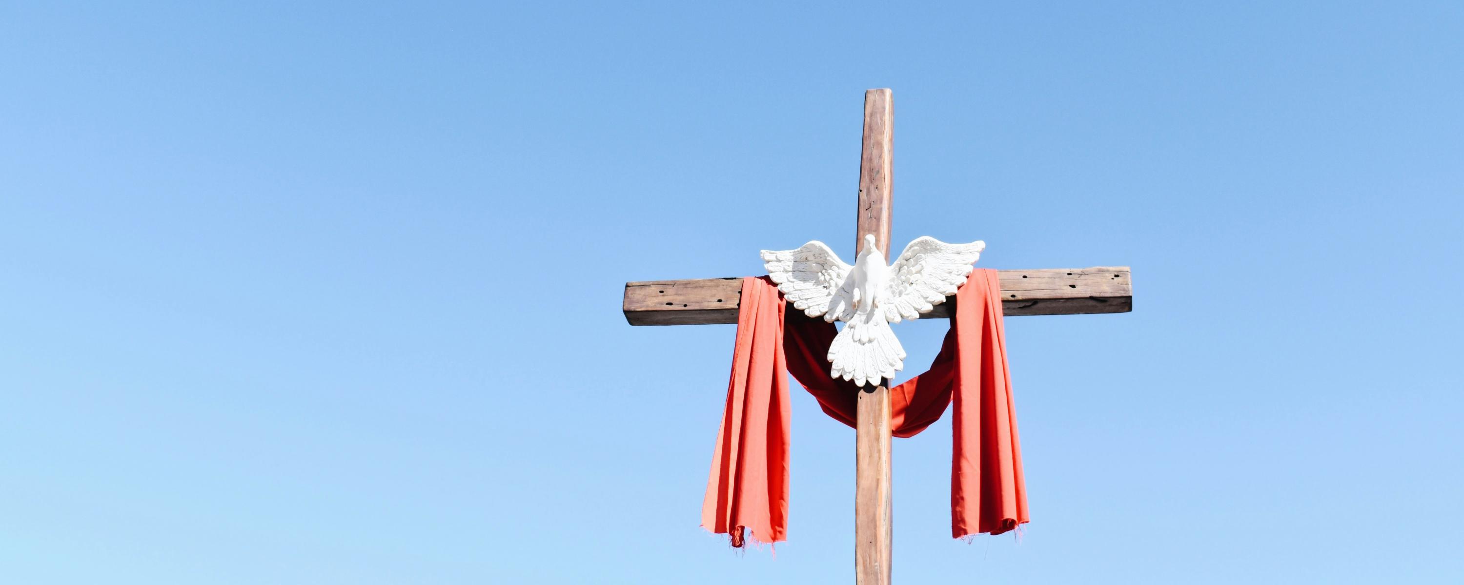 Weisse Taube auf Kreuz